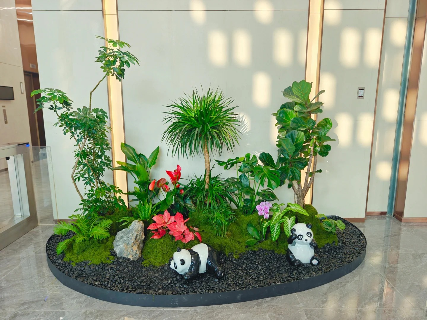 专业盆景出租，让宁波余姚生活更添绿意