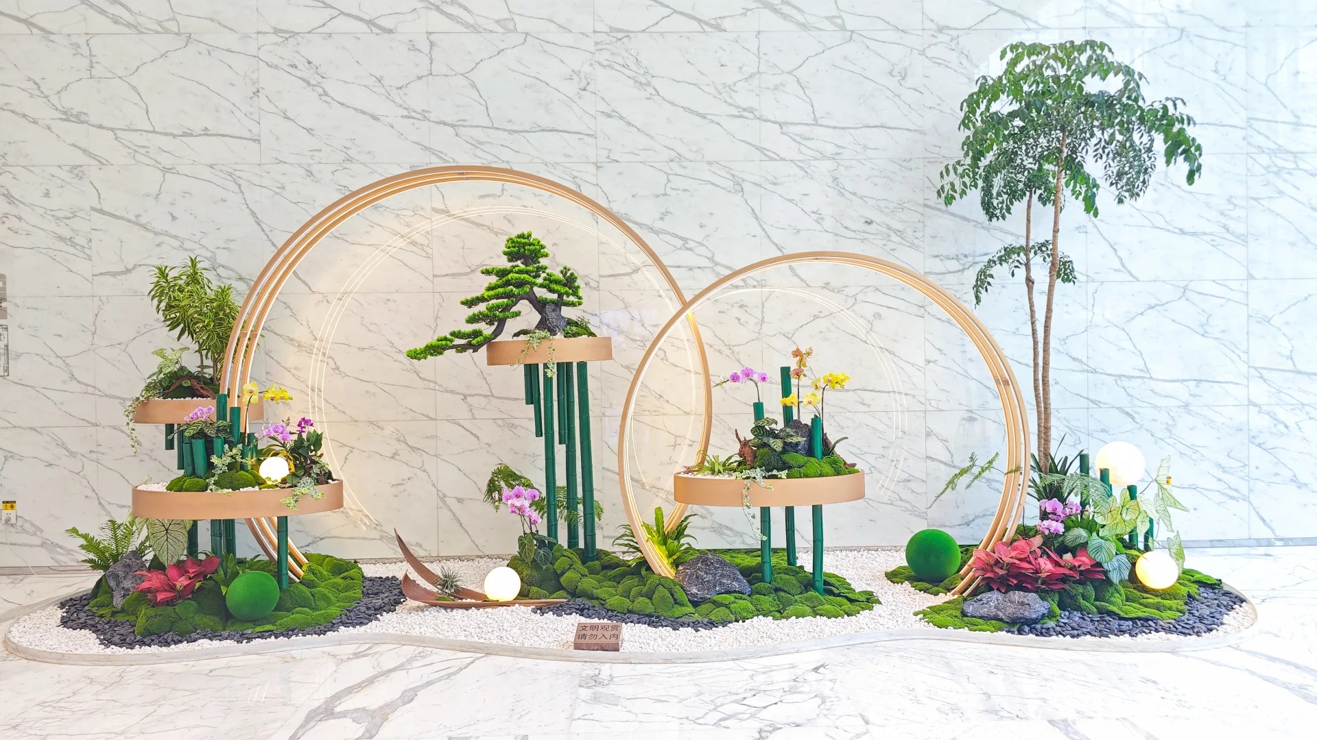 余姚植物租赁专业，让您的空间更生机